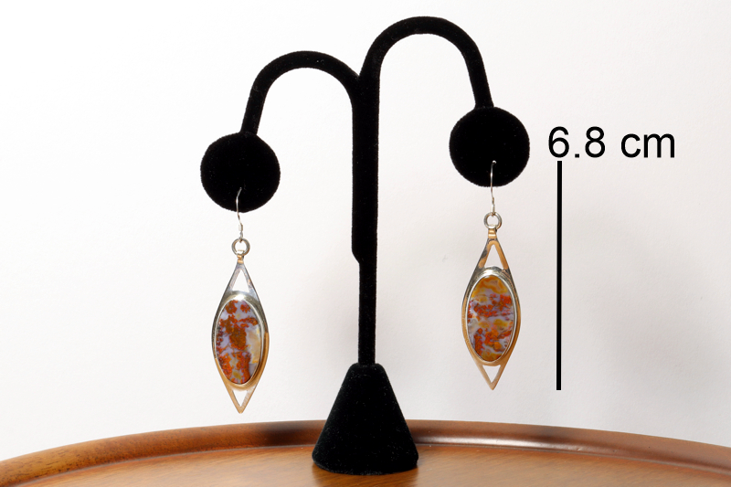 NS Agate/ss earrings